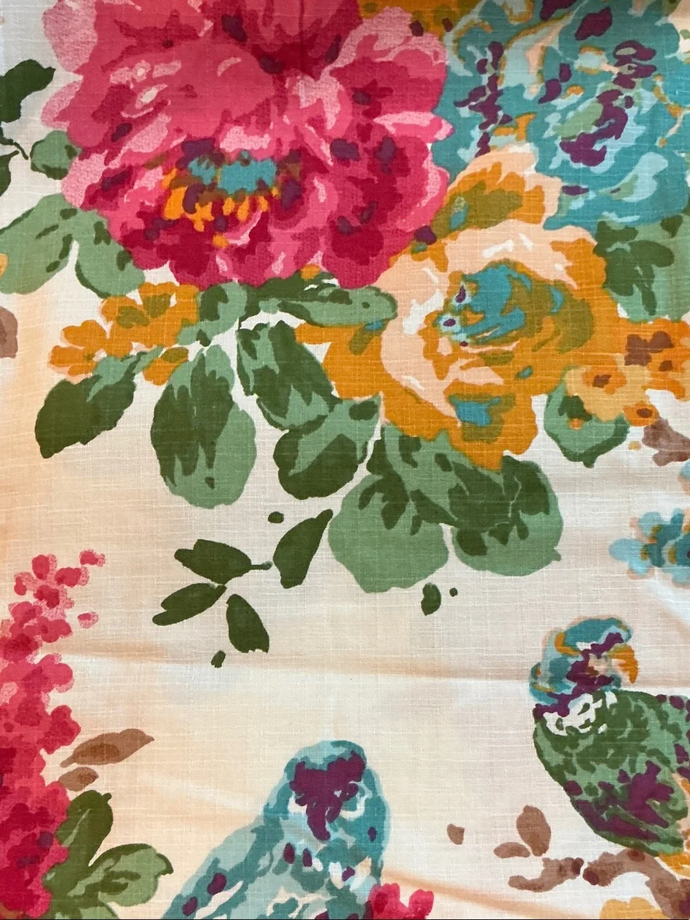 Cost Plus World Market botanical print